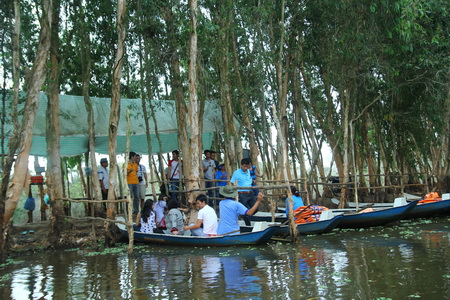 Hoang sơ rừng tràm Trà Sư ảnh 6